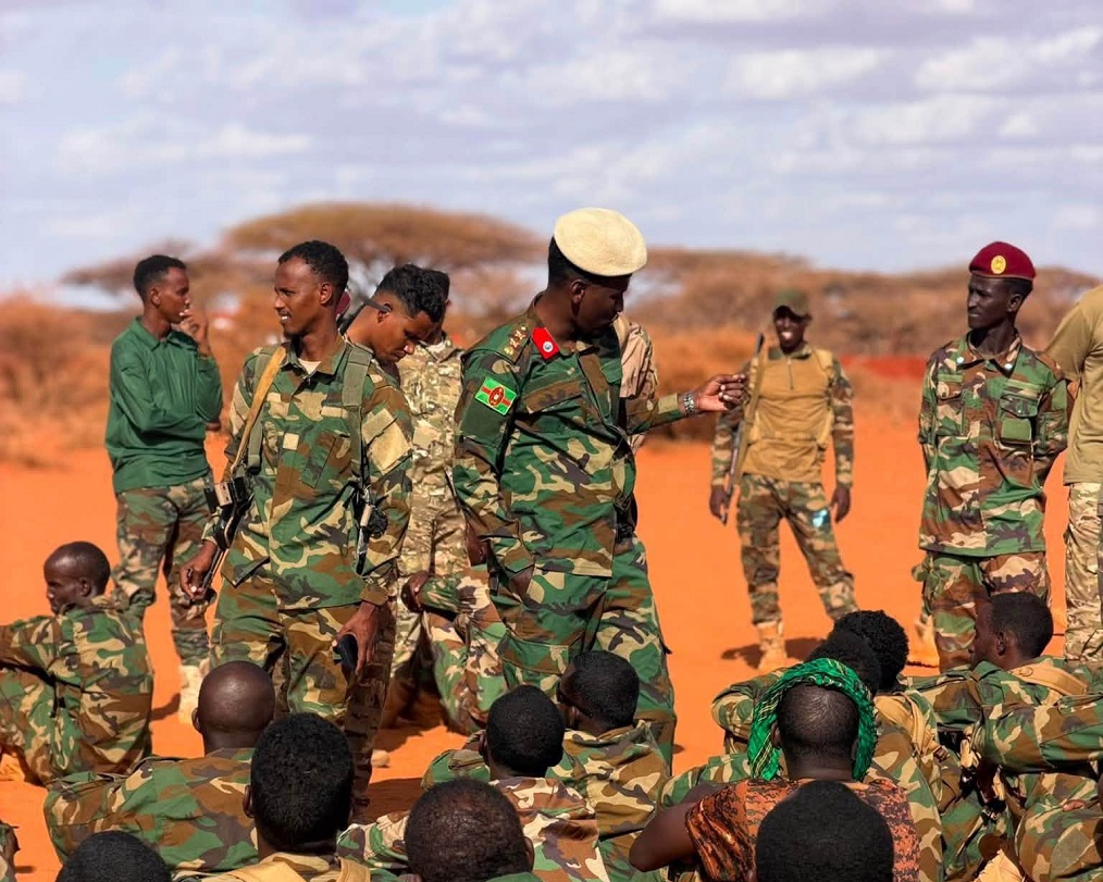 Dhagaweyne oo kormeeray Xerada Xananbuure.jpg